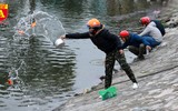 Xem người dân Hà Nội thả cá chép tiễn Táo quân